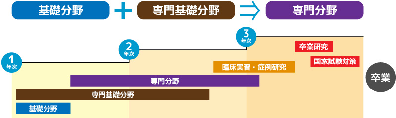 カリキュラムチャート図